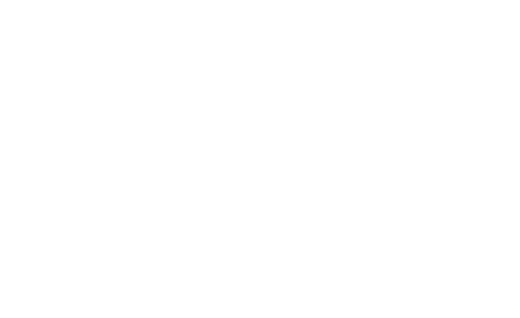 fanimal logo