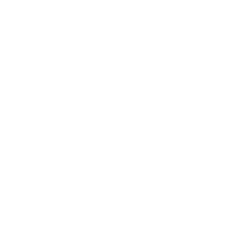 juni logo