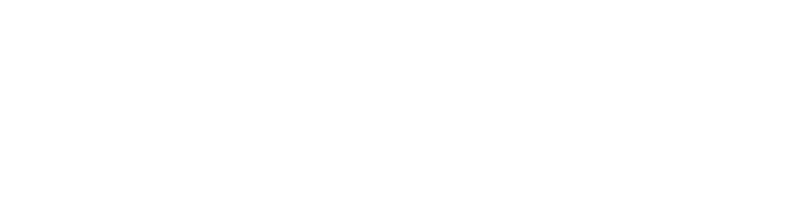 Causal Labs Logo