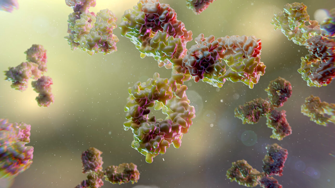 Infinimmune’s AI Model GLIMPSE-1 Engineers Human-Sourced Antibodies