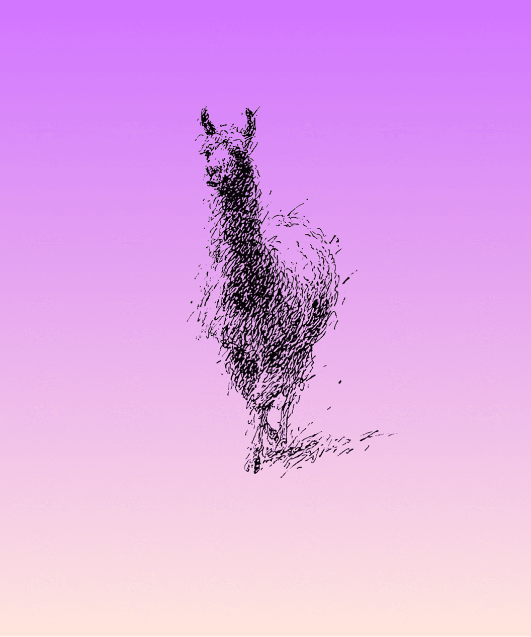 Vanta